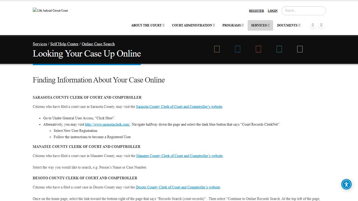 Looking Your Case Up Online